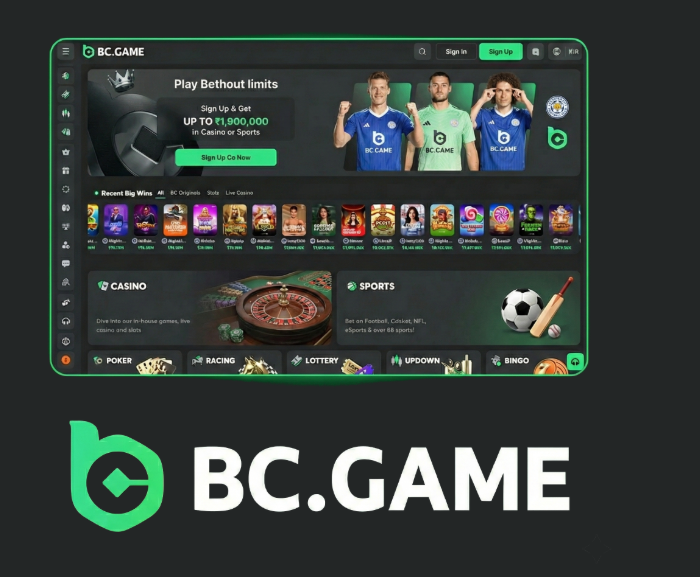 Comprehensive Overview of JB Casino A Gamer's Paradise